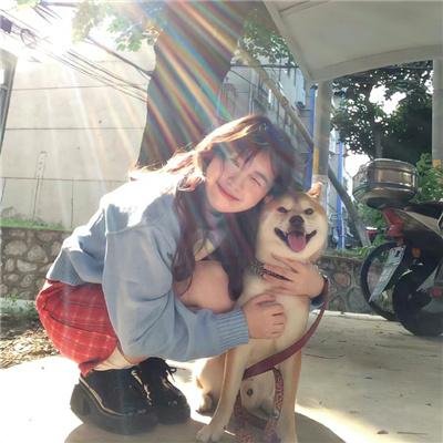 城下町的蒲公英