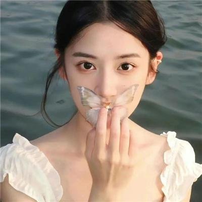 再见维也纳